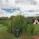 Lancewood TiPi's