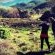 Field Archery