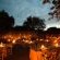 Thornybush Game Lodge