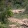 Thornybush The River Lodge