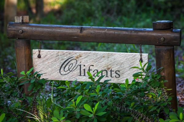 Thornybush The River Lodge