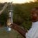 Jackalberry Game Lodge