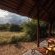 Jackalberry Game Lodge