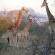 NKaya Game Lodge