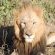 NKaya Game Lodge