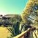 Mogodi Lodge