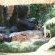 Kassaboera Lodge Hartbeespoort