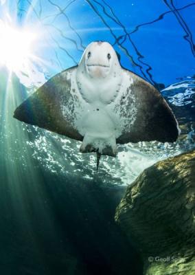 Two Oceans Aquarium