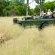 Nottens Bush Camp