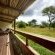 Nottens Bush Camp