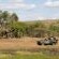 Game drives with elephant 