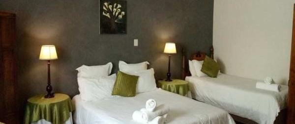 Selborne Bed and Breakfast