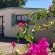 Selborne Bed and Breakfast
