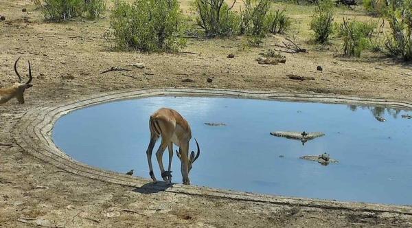 Kruger Park Access Information