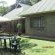 Sunbirds Outside