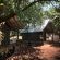 Tent-house Exterior