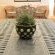 Winelands Lodge