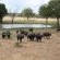 Kruger Adventure Lodge