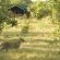 Sango Safari Camp
