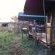 Sango Safari Camp