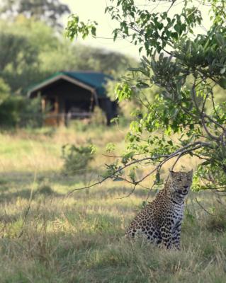 Sango Safari Camp