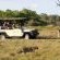 Sango Safari Camp
