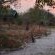 Sango Safari Camp