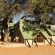 Kalahari Game Lodge