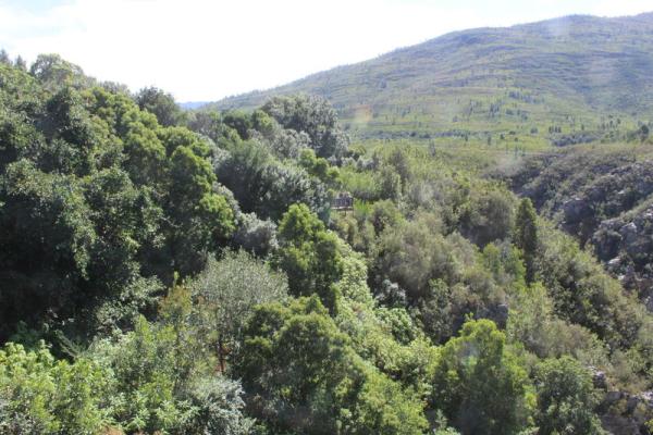 The Garden Route