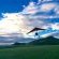 Meadow Lane Airfield for fly-in guests 