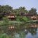 Mashatu Game Reserve