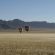 Excursions can be booked with our Adventure Centre