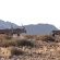 Sossusvlei Lodge