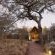 Kapama Southern Camp