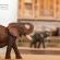 Etosha Aoba Lodge