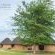 Onguma Bush Camp