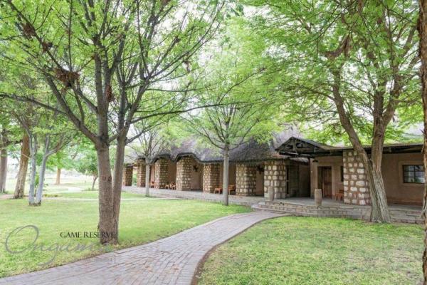 Onguma Bush Camp