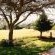 Montusi Self-Catering Cottages
