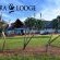 J-Bay Zebra Lodge