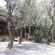 Grey Goose Game Lodge