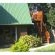 The Wood Guest House