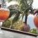 Ingwe Manor Guesthouse & Spa
