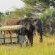 Tembe Elephant Lodge