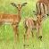 Tembe Elephant Lodge