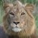 Tembe Elephant Lodge