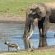 Tembe Elephant Lodge