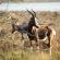 Accommodation - De Hoop Nature Reserve
