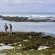 Accommodation - De Hoop Nature Reserve