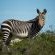 Accommodation - De Hoop Nature Reserve