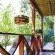 Lily Guesthouse